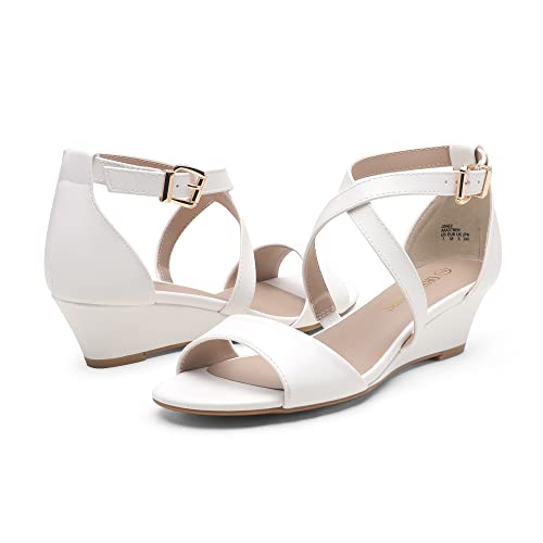 DREAM PAIRS Women's Elastica Ankle Strap Sandals Low Wedge Open Toe Party Sandals Jones