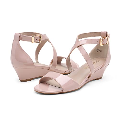 DREAM PAIRS Women's Elastica Ankle Strap Sandals Low Wedge Open Toe Party Sandals Jones