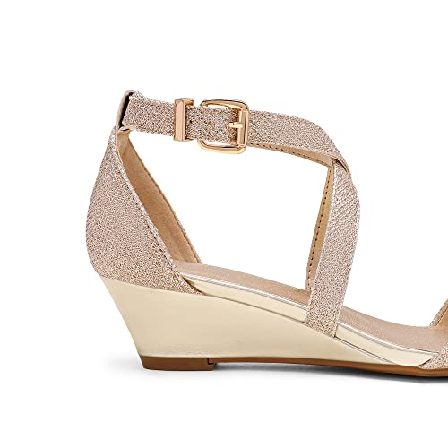 DREAM PAIRS Women's Elastica Ankle Strap Sandals Low Wedge Open Toe Party Sandals Jones